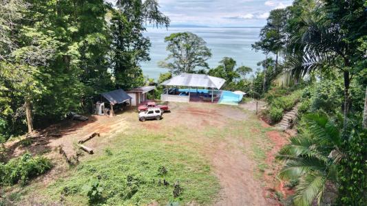 Golfo Dulce , Península De Osa Puerto Jiménez Golfito, Puntarenas 60504, Costa Rica