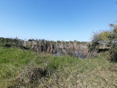 Altamira, Tamaulipas 89603, Mexique