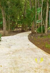 Calle Parque Guell unidad privativa 23 Lote 8 Senderos Mayakoba,, Solidaridad / Riviera Maya, Quintana Roo 77724, Mexico
