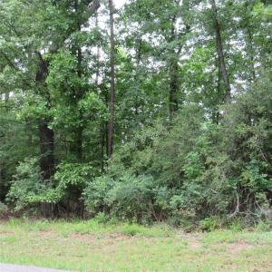 TBD Rolling Ridge, Hawkins, Texas 75765