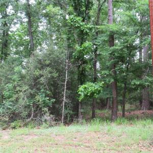 TBD Rolling Ridge, Hawkins, Texas 75765