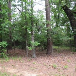 TBD Rolling Ridge, Hawkins, Texas 75765