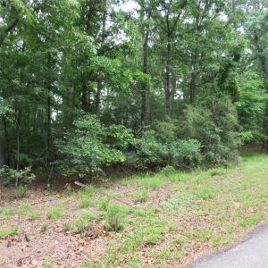 TBD Rolling Ridge, Hawkins, Texas 75765