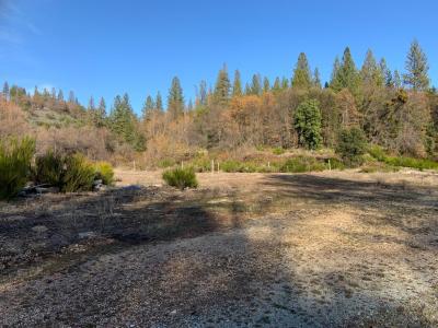 14317 Tyler Foote Road, Nevada City, California 95959, USA