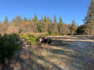 14317 Tyler Foote Road, Nevada City, קליפורניה 95959, ארצות הברית של אמריקה