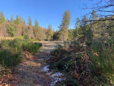 14317 Tyler Foote Road, Nevada City, קליפורניה 95959, ארצות הברית של אמריקה