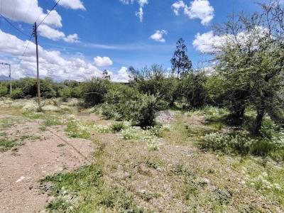 Municipio de Yotala, Comunidad Molle Viejo S/N, Sucre, Chuquisaca 00001, بوليفيا