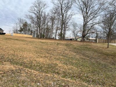 Lot 14 Hidden Fields Estate, Hiawassee, Georgia 30546
