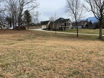 Lot 14 Hidden Fields Estate, Hiawassee, Georgia 30546