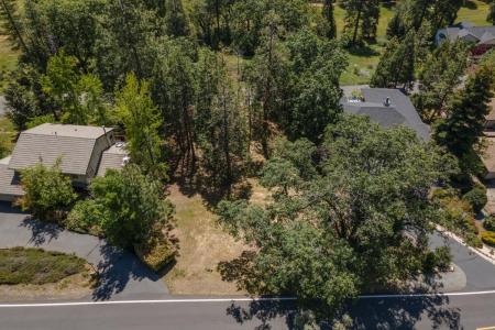 533 Forest Meadows Drive, Murphys, カリフォルニア 95247, アメリカ合衆国