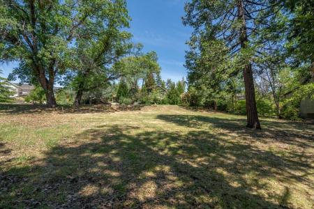 533 Forest Meadows Drive, Murphys, カリフォルニア 95247, アメリカ合衆国