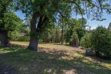 533 Forest Meadows Drive, Murphys, カリフォルニア 95247, アメリカ合衆国