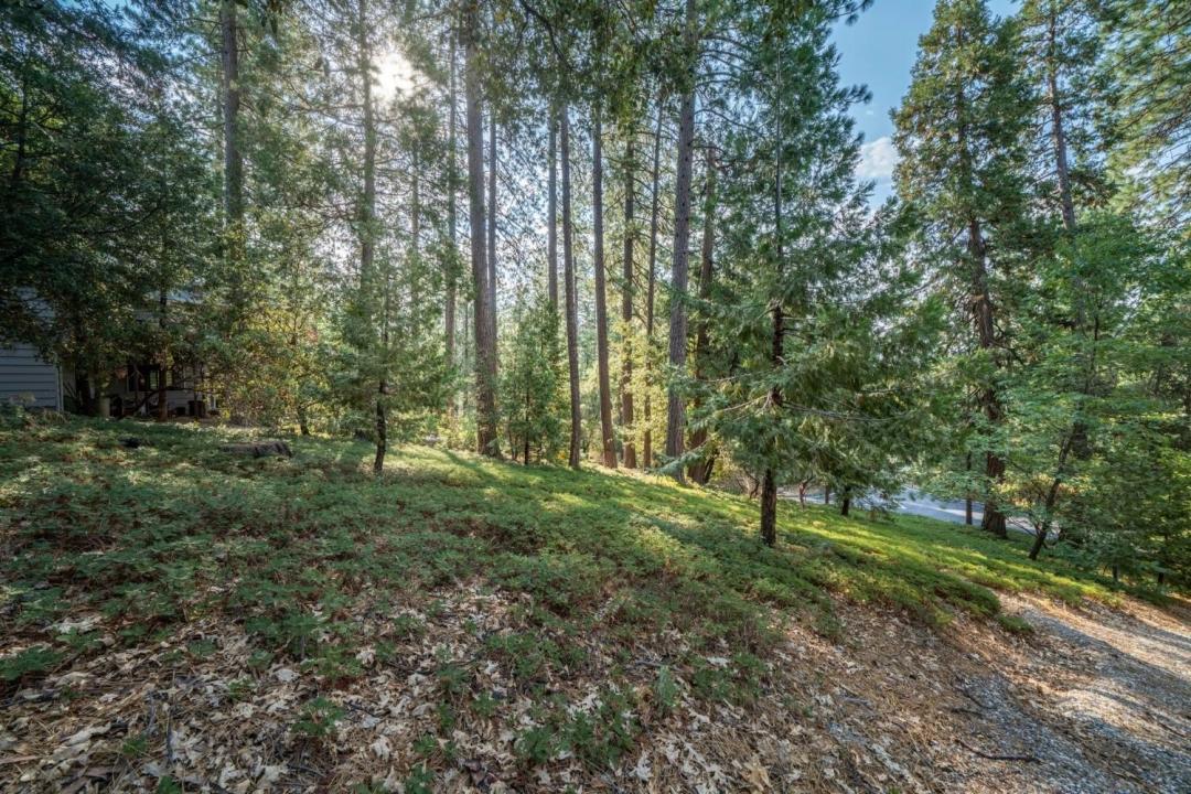 51 Canterwood Lane, Murphys, カリフォルニア 95247, アメリカ合衆国