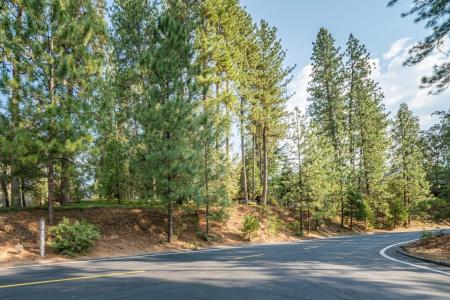 51 Canterwood Lane, Murphys, カリフォルニア 95247, アメリカ合衆国
