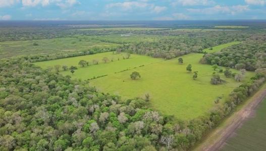 0 County Road 647 Off Pvt Road, Guy, Texas 77444, USA