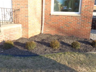 2822 Brookview Blvd., Parma, Ohio 44134