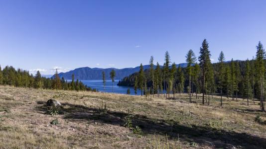 Lt 21 (Trct 21) Camp Bay, Sagle, Idaho 83860, USA