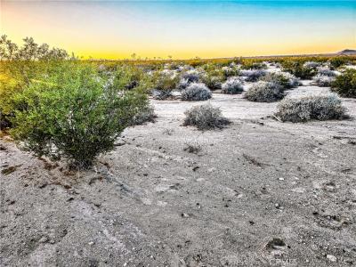 0 Morongo Road, 29 Palms, California 92277, USA