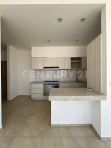 GUADALUPE GONZALEZ s/n,, 阿瓜斯卡連特斯, 阿瓜斯卡連特斯 20328, 墨西哥