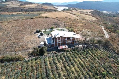 PARCELA N° 12 Z1 P1/1 SIN NUMERO,, Jocotepec, Jalisco 45800, Messico