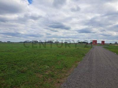 RUTA 6 KM142, General Rodríguez, GBA Oeste 1086, 阿根廷