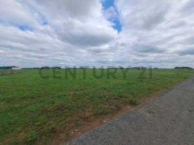 RUTA 6 KM142, General Rodríguez, GBA Oeste 1086, 阿根廷