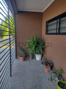 27 162 norte y 163 3880, Berisso, GBA Sur 00001, ארגנטינה
