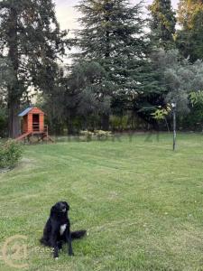 Aroyo 1500, Rama Caída, Mendoza 5600, Argentina