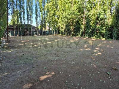 Buenos Vecinos n°2707, Los Corralitos, Mendoza 00001, Argentina