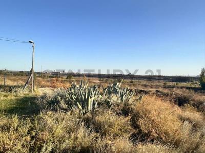 Luján De Cuyo, Mendoza 00001, ארגנטינה