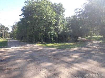 Miramar, Buenos Aires Costa Atlántica 7607, Argentina