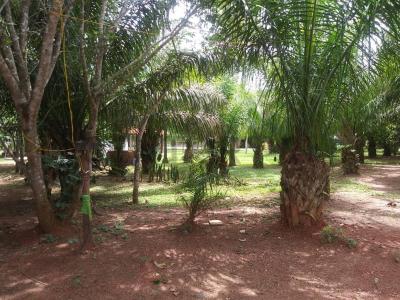 Localidad Concepcion Terreno de 300 mtrs2 Lote#44, Ñuflo De Chávez, Santa Cruz 00001, Bolívia