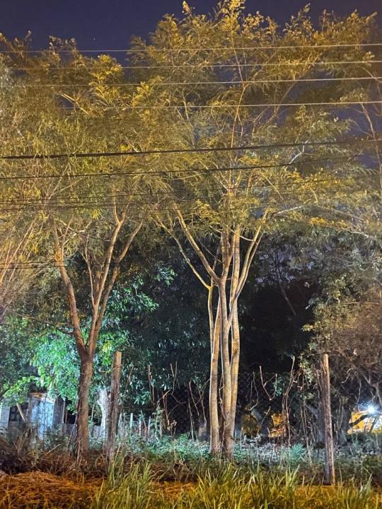 Rosario y San Blas 123, Limpio, Центральное 00001, Парагвай