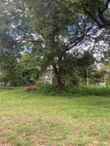 Rosario y San Blas 123, Limpio, Центральное 00001, Парагвай