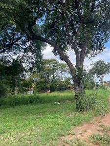 Rosario y San Blas 123, Limpio, Центральное 00001, Парагвай