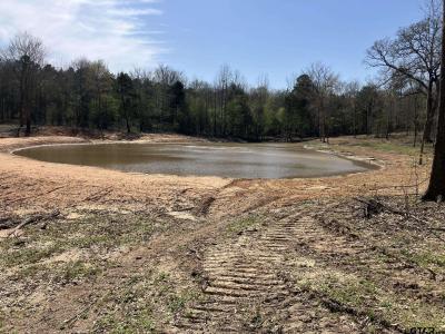 TBD Woodchuck Rd, Pittsburg, تكساس 75686, الولايات المتحدة