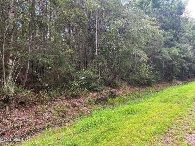 Tampa Circle, Pearlington, 密西西比州 39572, 美国