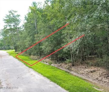 Tampa Circle, Pearlington, 密西西比州 39572, 美国