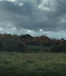 225 Williams Lane #307, Tobyhanna Twp, Pennsylvania 18355, USA
