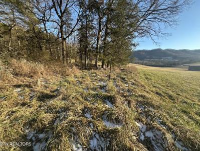 TBD Wilderness Rd, Jonesville, Virginia 24263