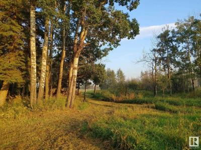 6021 TWP ROAD 571, Rural Lac Ste. Anne County, Alberta T0E 0J0, Canada