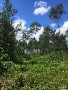 23 SUNSET COVE, Big River Rm No. 555, Saskatchewan S0J 0E0, Canada