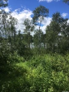 23 SUNSET COVE, Big River Rm No. 555, Saskatchewan S0J 0E0, Canada