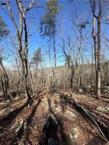 148 Mulberry Circle, Jasper, Georgia 30143, USA
