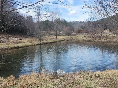 31.53 Ac Barnett Road, Murphy, Carolina Del Norte 28906, Estados Unidos
