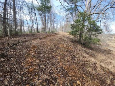 31.53 Ac Barnett Road, Murphy, Carolina Del Norte 28906, Estados Unidos