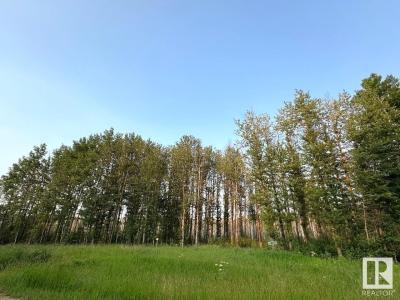 51501 RRD 73, Rural Parkland County, Alberta T7A 1R6, CANADÁ
