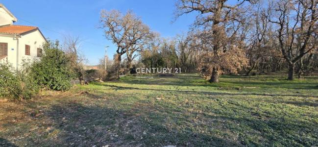 Umag, Vardica, Umag, Istarska Županija, Slovenia