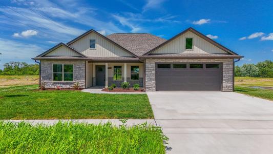 311 W FRANCIS ST, STURGEON, 密苏里州 65284, 美国