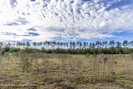 0 Atlantis Lane, Brooksville, فلوريدا 34601, الولايات المتحدة